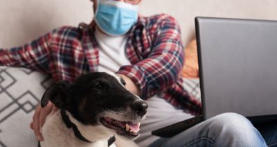 PDSA passes 500,000 remote appointment milestone